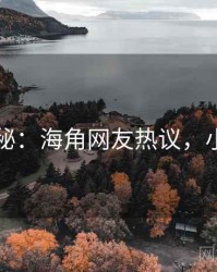 独家揭秘：海角网友热议，小说海角