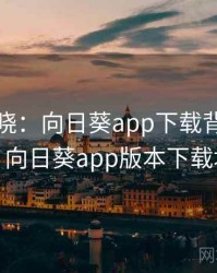真相揭晓：向日葵app下载背后的秘密，向日葵app版本下载地址