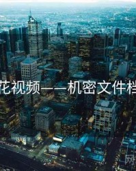 探花视频——机密文件档案