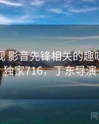 丁冬影视 影音先锋相关的趣味排行 · 独家716，丁东导演