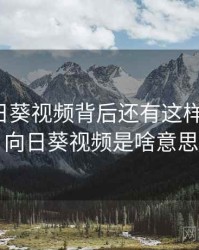 原来向日葵视频背后还有这样的故事，向日葵视频是啥意思