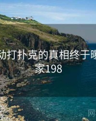 剧烈运动打扑克的真相终于曝光 · 独家198