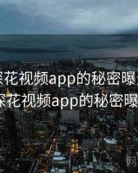 震惊！探花视频app的秘密曝光，震惊!探花视频app的秘密曝光