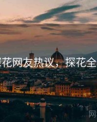 国产探花网友热议，探花全国高端