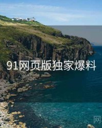 91网页版独家爆料