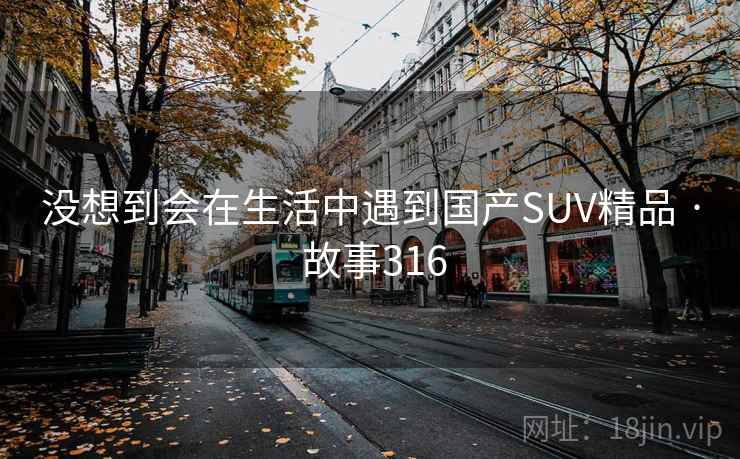 没想到会在生活中遇到国产SUV精品 · 故事316